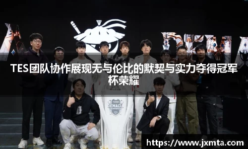 TES团队协作展现无与伦比的默契与实力夺得冠军杯荣耀