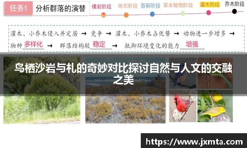 易游体育